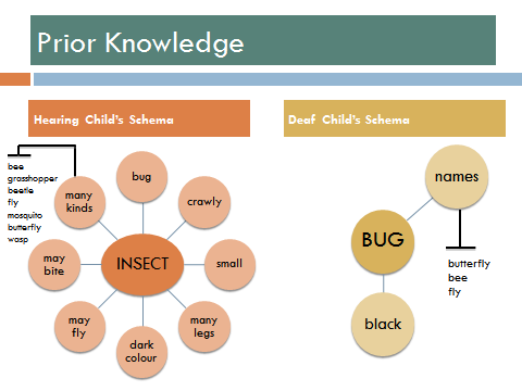 Prior Knowledge Examples - Hearing Child's Schema (Web) - In the middle is the Word Insect connected to bug, crawly, small, many legs, dark colour, may fly, may bite, many kinds. Attached to 'many kinds' is bee, grasshopper, beetle, fly, mosquito, butterfly, wasp. Deaf Child's Schema (Web) - In the middle is the word bug connected to black, names. Attached to 'names' is butterfly, bee, fly